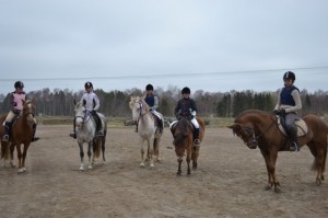 Träningstävling i Laholm